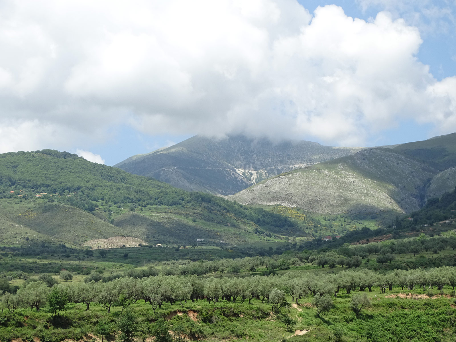 Delvinë (Photo license: CC BY 2.0)